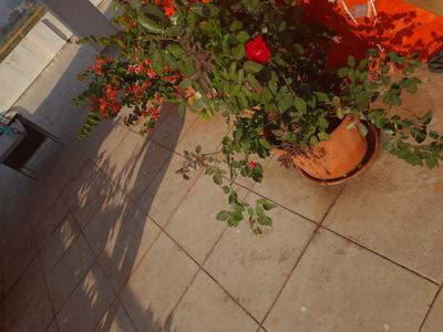 Balcony Image of 4500 Sq.ft 4 BHK Villa for sale in Malavli Lonavala for Rs. 19700000