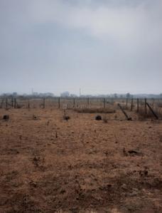 Image of 2800 Sq.ft Residential Plot / Land for sale in Khajuri, Bhopal for Rs. 1400000