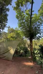 Image of 11555 Sq.ft 1 RK Independent House for sale in Thariyode, Wayanad for Rs. 1250000