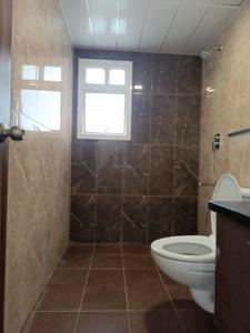 Common Bathroom Image of 550 Sq.ft 1 BHK Apartment / Flat for rent in Prestige Jindal City, Anchepalya Bengaluru for Rs. 27000