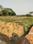 Mamata city Plot View 3