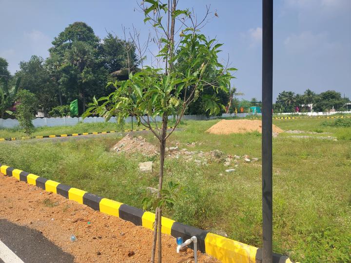 Thiruvallur Main Image 1