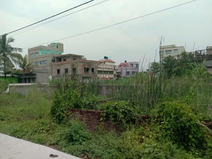 Apparent JB Garden Main Image 1