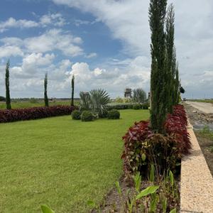 Image of 600 Sq.ft Residential Plot / Land for sale in Shri Krishna Divine Greens, Sanwer, Indore for Rs. 1710600