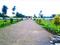 royal meadow Main Image 1