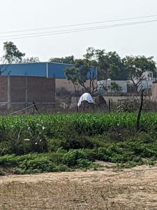 Image of 4840 Sq.ft Residential Plot / Land for sale in Manjhawali, Faridabad for Rs. 9000000