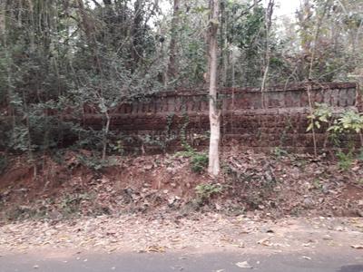 Image of 1750 Sq.ft Residential Plot / Land for sale in Carmo Lobo Brook Fields, Divar Island, Goa for Rs. 60000000