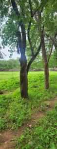 Sardar garma Plot View 2