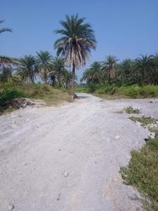 Image of 1500 Sq.ft Residential Plot / Land for sale in Ghatshila, East Singhbhum for Rs. 750000