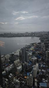 Balcony Image of 580 Sq.ft 2 BHK Apartment / Flat for rent in Prescon Midtown Bay, Mahim Mumbai for Rs. 120000