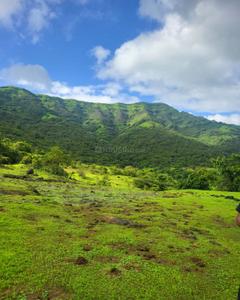 Image of 20000 Sq.ft Residential Plot / Land for sale in Bhor, Pune for Rs. 1800000
