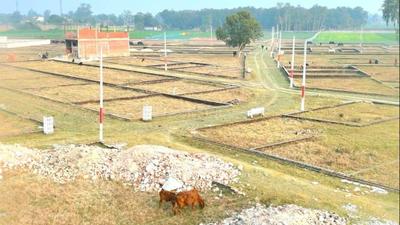 Mati Plot View 2