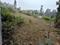 Thorwan Enclave, Aamwala Main Image 1