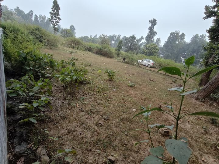 Thorwan Enclave, Aamwala Main Image 1