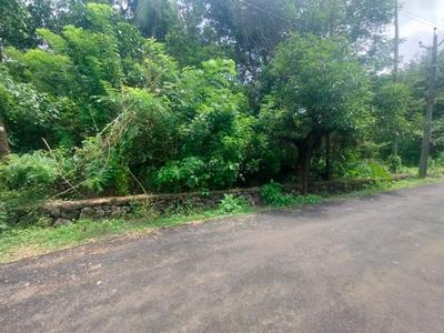 Image of 13068 Sq.ft Residential Plot / Land for sale in Paravattani, Thrissur for Rs. 24000000