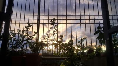 Balcony Image of 1337 Sq.ft 3 BHK Apartment / Flat for sale in JS Tulip, Yelahanka Bengaluru for Rs. 11000000