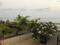Andheri west versova Balcony 1