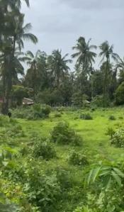 Image of 2025 Sq.ft Residential Plot / Land for sale in Tivim, Goa for Rs. 64800000