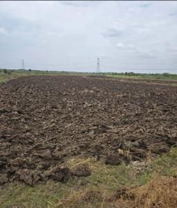 Image of 1089 Sq.ft Residential Plot / Land for sale in Panvel, Navi Mumbai for Rs. 392000