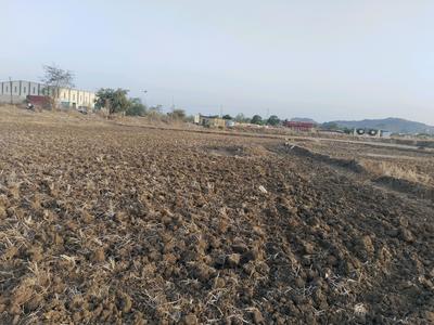 Sarde Plot View 2
