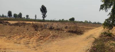 Capital residency royal sky properties Plot View 2