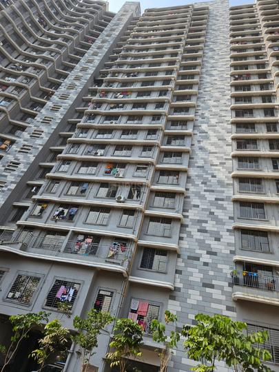 DP Star Main Image 1