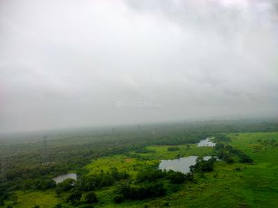 Image of Eastern grooves in Vikhroli East, Mumbai