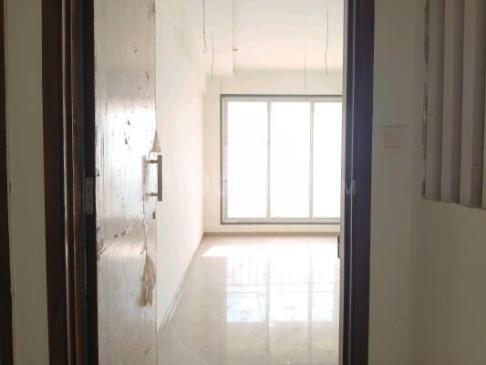 Gami Asters Main Image 1