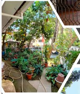 Balcony Image of 3200 Sq.ft 5 BHK Independent House for sale in Panjim Goa for Rs. 110000000