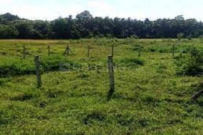Image of 1530 Sq.ft Residential Plot / Land for sale in ASM Shree Jaswant Garden, Sector 14, Panchkula for Rs. 12242100