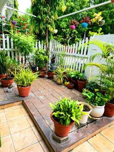 Image of 1700 Sq.ft 4.5 BHK Duplex for sale in Katara Hills, Bhopal for Rs. 15000000