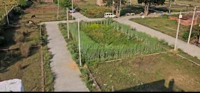 Barra World Bank Plot View 2