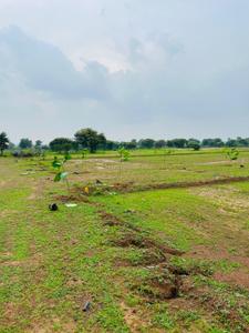 Rama Residency  Plot View 2