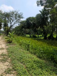 Natures Paradise Internal Roads 2