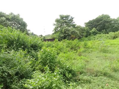 Image of 87686 Sq.ft Residential Plot / Land for sale in Uttara, Bhubaneswar for Rs. 170000000
