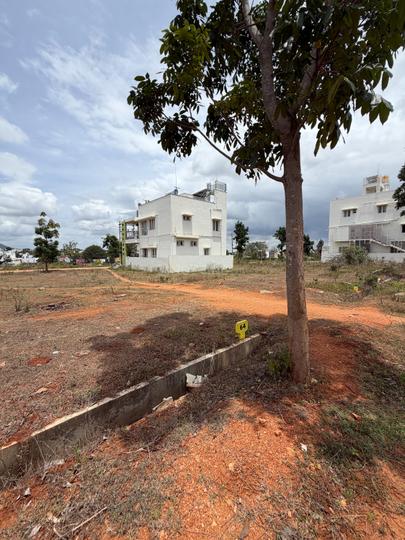 Karle Habitat Main Image 1