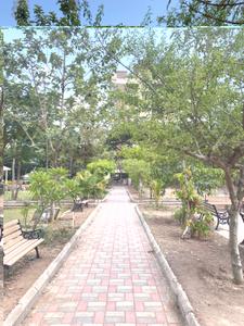 Image of 1365 Sq.ft 3 BHK Apartment / Flat for rent in Anand Vihar, Baner, Pune for Rs. 45000