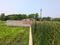 Sonargaon 2 Plot View 2
