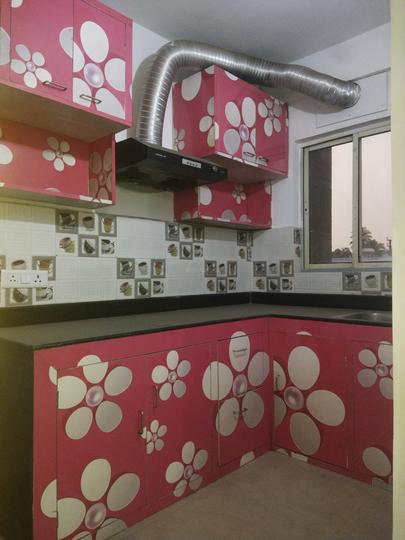 citrus cove Main Image 1