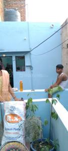 Balcony Image of 387 Sq.ft 2 BHK Independent House for sale in Sector 9 Gurgaon for Rs. 4500000