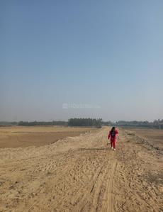 Nigoha Plot View 3