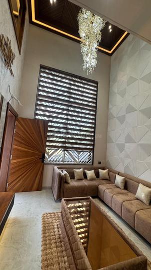 Parul Palm Green Main Image 1