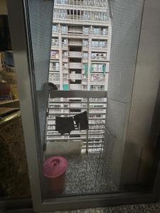 Balcony Image of 1035 Sq.ft 2 BHK Apartment / Flat for sale in Anand Ilyf, Vaishno Devi Circle Ahmedabad for Rs. 5800000