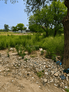 Image of 350 Sq.ft Residential Plot / Land for sale in Nizampur, Bahadurgarh for Rs. 8800000