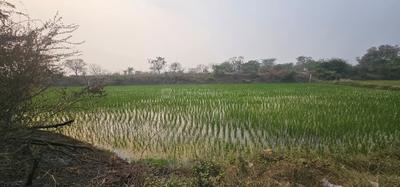 Lothal Plot View 2