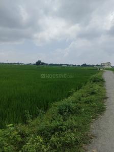 Image of 101172 Sq.ft Residential Plot / Land for sale in Chand Saray, Lucknow for Rs. 2000000000
