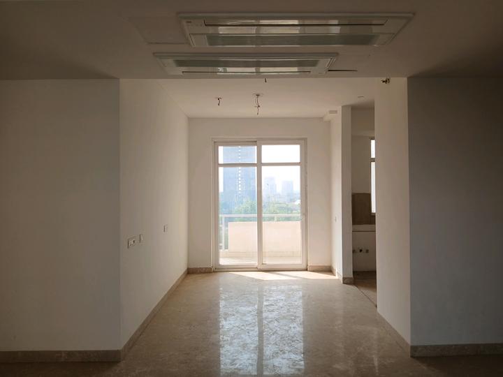 SS The Leaf Main Image 1