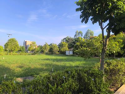 Enden 144 by thea estaters Plot View 1
