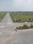 Kompally Plot View 2
