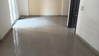 Living Room Image of 1300 Sq.ft 3 BHK Apartment / Flat for rent in Amrapali Zodiac, Sector 120 Noida for Rs. 30000